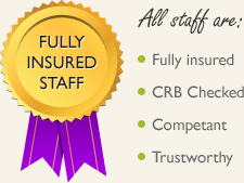 Fully insured cleaners